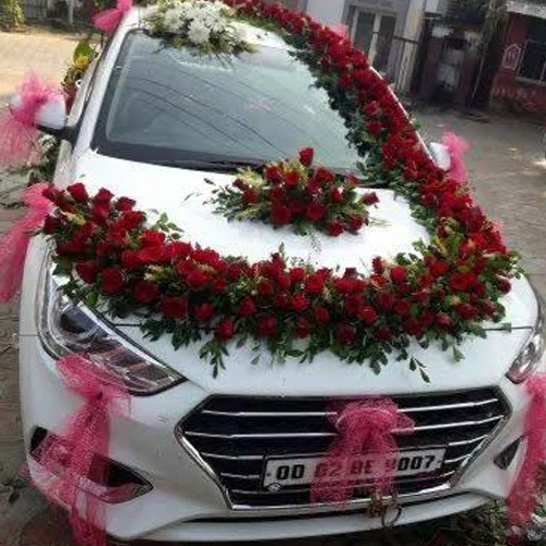 Paramhans celebration and travel