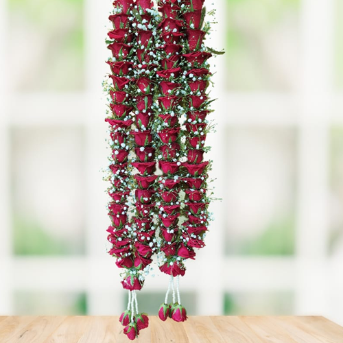 Paramhans celebration and travel