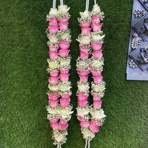 Paramhans celebration and travel