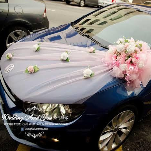 Paramhans celebration and travel